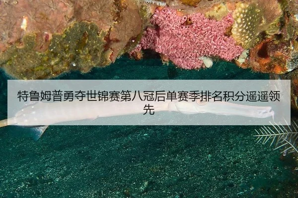 te-lu-mu-pu-yong-duo-shi-jin-sai-di-ba-guan-hou-dan-sai-ji-pai-ming-ji-fen-yao-yao-ling-xian-2-588.jpg