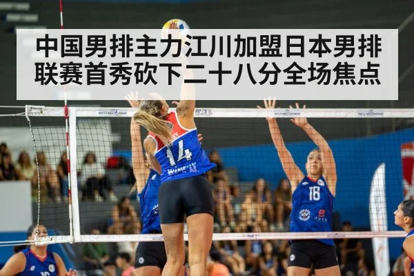 volleyball match action